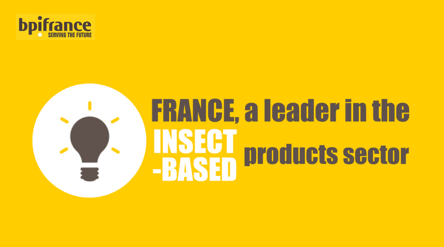 france-leader-insect-based-products-sector-insect-farms-ynsect-innofeed